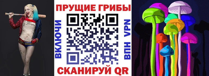 Псилоцибиновые грибы прущие грибы  Иноземцево 